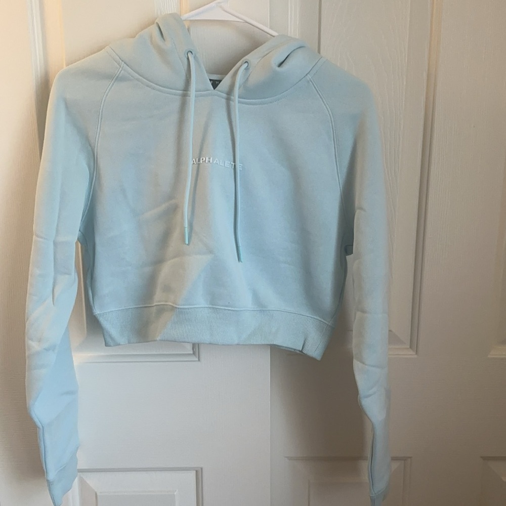 Alphalete Cropped Hoodie